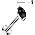 18G 5/16 Natural Black Onyx Oval Medical Grade Titanium Flat Back Earring