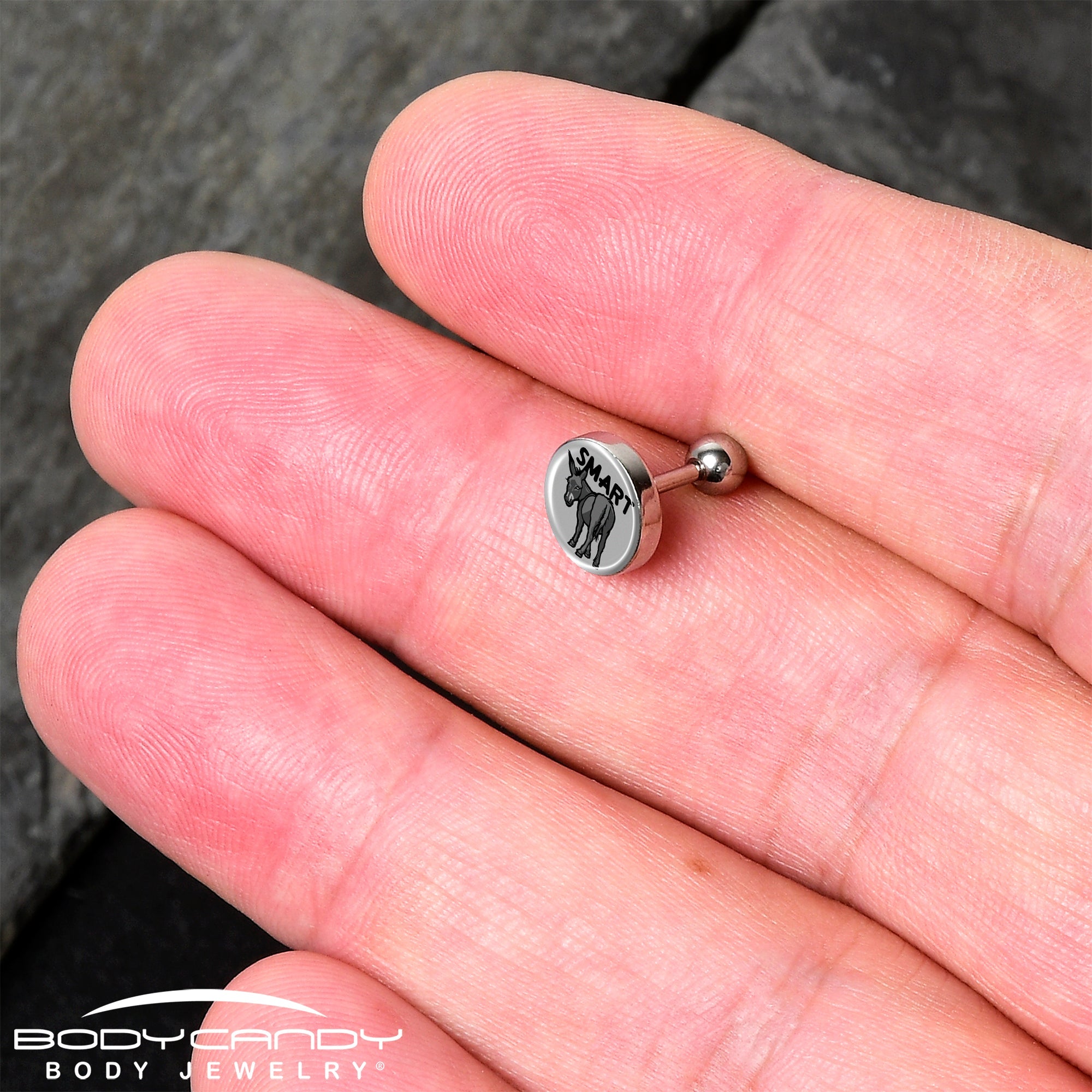 16G 1/4 Donkey Smart Ass Tragus Cartilage Earring by Onyx O
